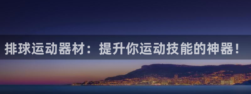 熊猫体育娱乐首页官网下载:排球运动器材:提升你运动技能的神器
